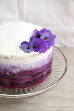 Blueberry Cake with Coconut Frosting (gluten-free & vegan