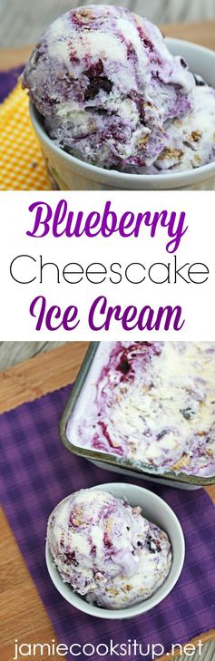 Blueberry Cheesecake Ice Cream