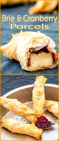 Brie And Cranberry Parcels
