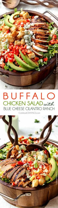 Buffalo Chicken Salad with Blue Cheese Cilantro Ranch