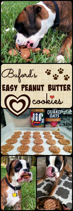 Buford’s Easy Peanut Butter Dog Cookies