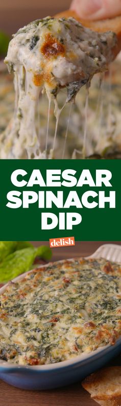 Caesar Dip