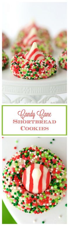 Candy Cane Shortbread Cookies