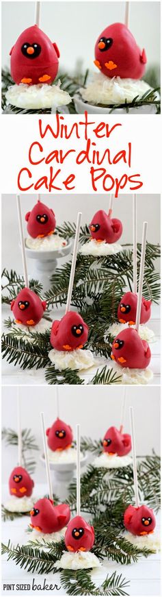 Cardinal Cake Pop Tutorial