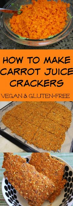 Carrot Pulp Crackers