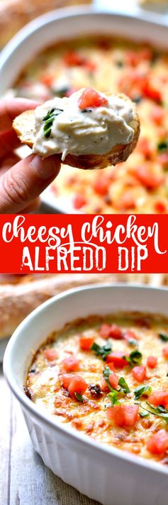 Cheesy Chicken Alfredo Dip