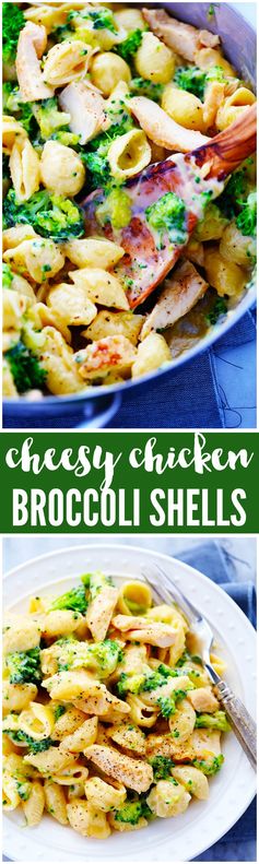 Cheesy Chicken Broccoli Shells