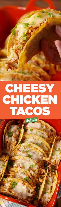 Cheesy Chicken Tacos