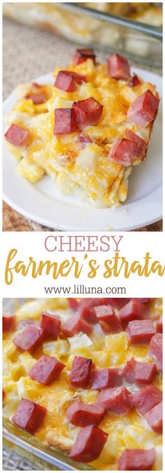 Cheesy Farmer's Strata