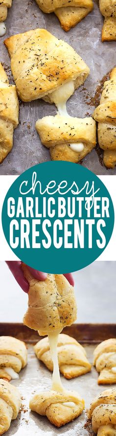 Cheesy Garlic Butter Crescents