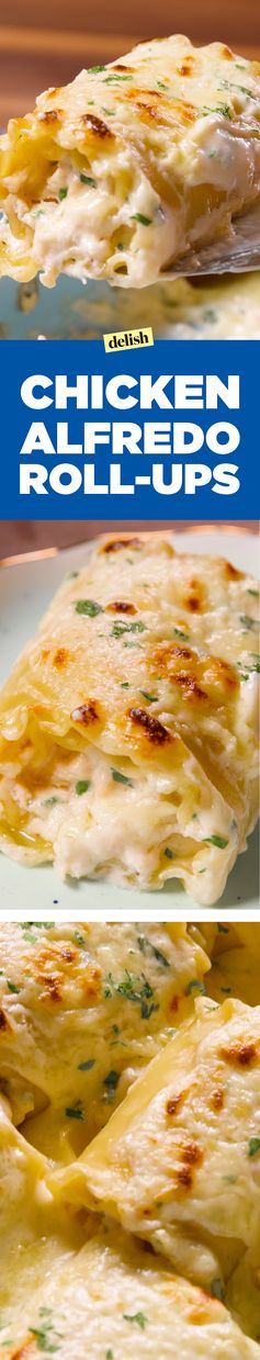 Chicken Alfredo Roll-Ups