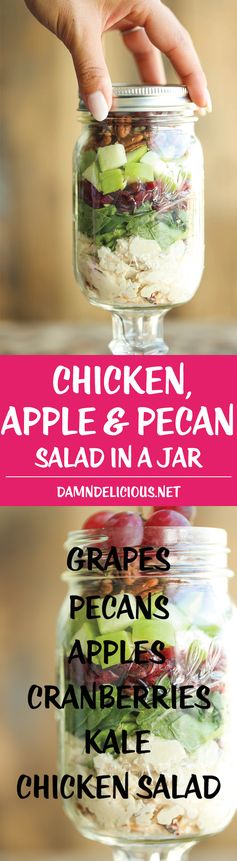 Chicken, Apple and Pecan Salad in a Jar