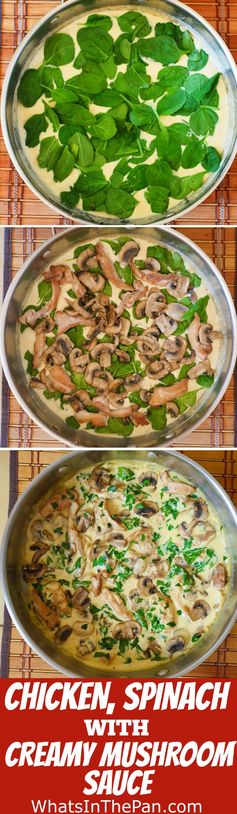 Chicken in Creamy Parmesan Mushroom Sauce