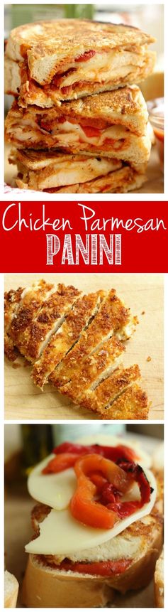 Chicken Parmesan Panini