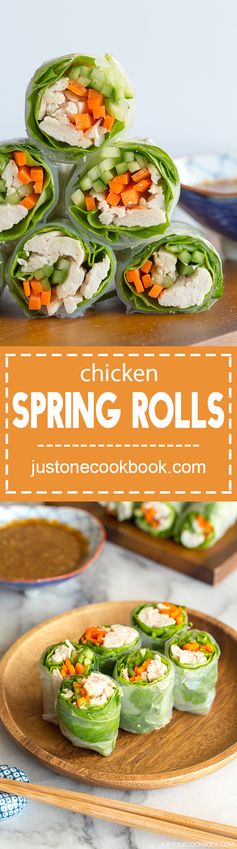 Chicken Spring Rolls