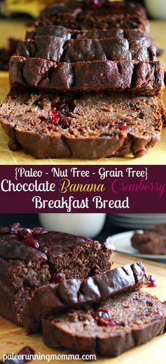 Chocolate Banana Cranberry Bread (Paleo & Nut Free