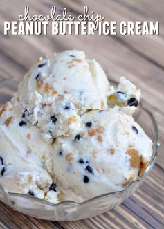 Chocolate Chip Peanut Butter Ice Cream