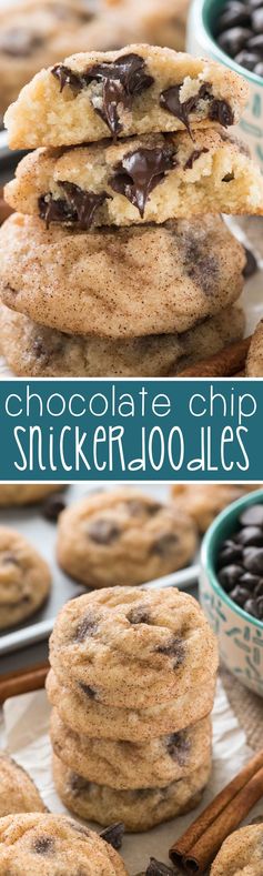 Chocolate Chip Snickerdoodles