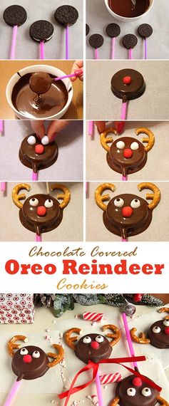 Chocolate Covered Oreo Reindeer Cookies