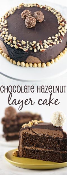 Chocolate Hazelnut Cake