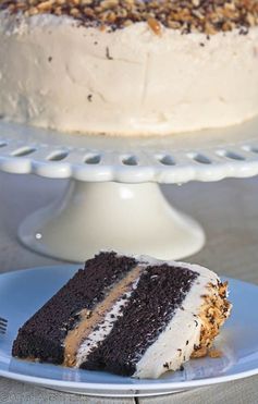 Chocolate Peanut Butter Cake