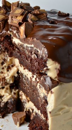 Chocolate Peanut Butter Cup Overload Cake