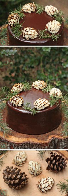 Chocolate Pine Cones