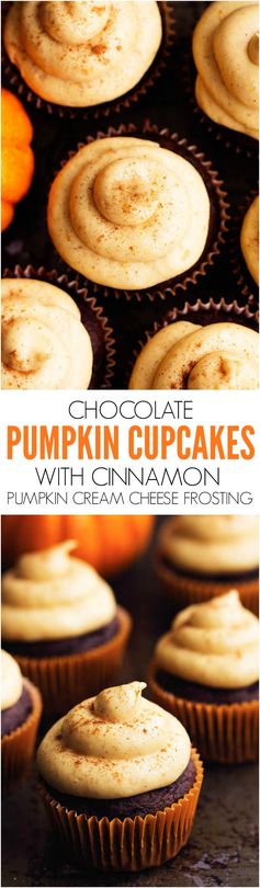 Chocolate Pumpkin Cupcakes with Cinnamon Pumpkin Cream Cheese Frosting