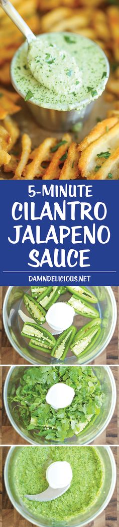 Cilantro Jalapeno Sauce