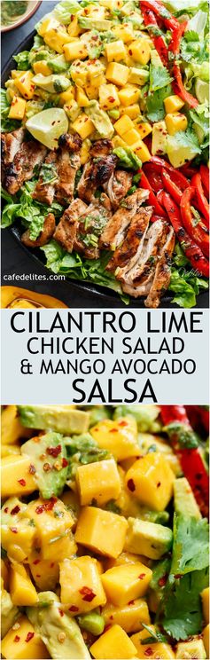 Cilantro Lime Chicken Salad + Mango Avocado Salsa