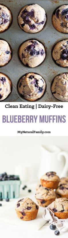 Clean Eating Blueberry Muffin