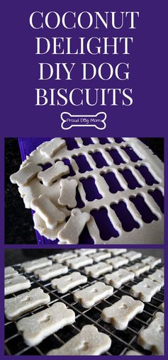 Coconut Delight Dog Biscuits