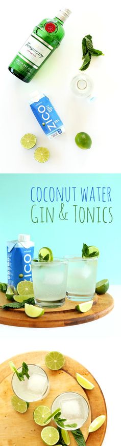 Coconut Gin and Tonics