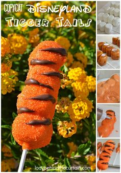 Copycat Disneyland Tigger Tails