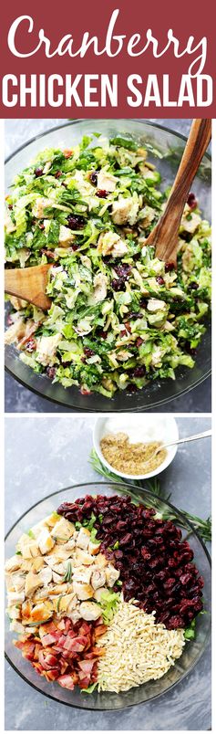 Cranberry Chicken Salad with Light Dijon Parmesan Dressing