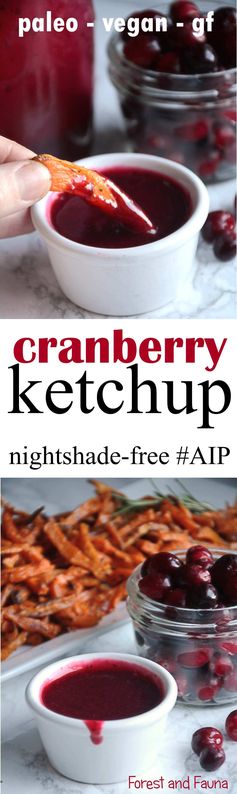 Cranberry Ketchup