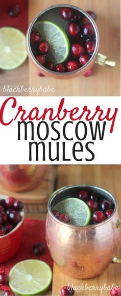 Cranberry Moscow Mules