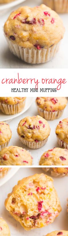 Cranberry Orange Mini Muffins