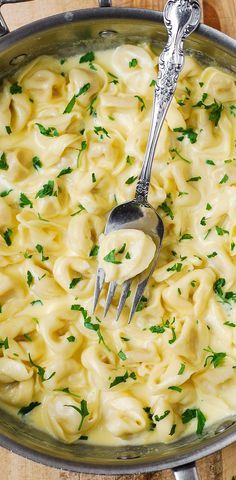 Creamy Asiago Cheese Garlic Tortellini