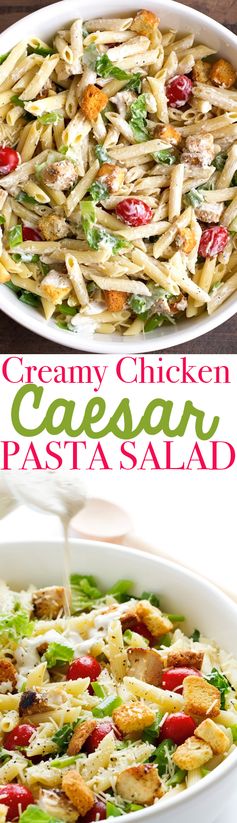Creamy Chicken Caesar Pasta Salad