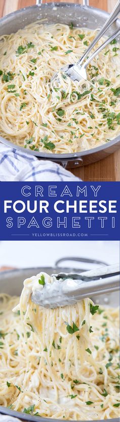 Creamy, Four-Cheese & Garlic Spaghetti