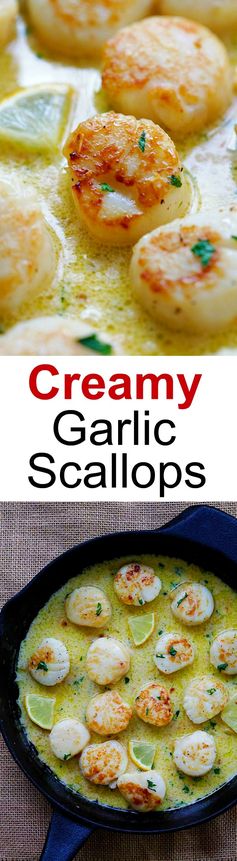 Creamy Garlic Scallops