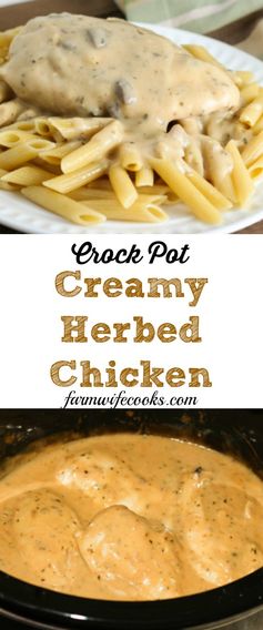 Creamy Herbed Chicken