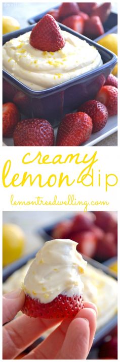 Creamy Lemon Dip