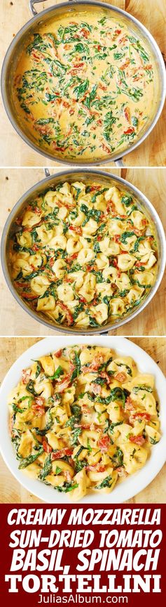 Creamy Mozzarella Sun-Dried Tomato Basil Spinach Tortellini