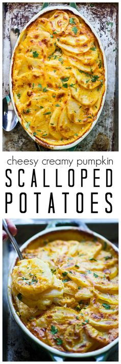 Creamy Pumpkin and Cheddar Scalloped Potatoes