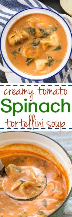 Creamy Tomato Spinach Tortellini Soup