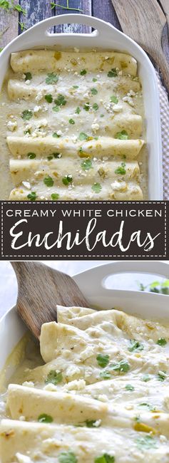 Creamy White Chicken Enchiladas