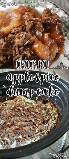 Crock Pot Apple Spice Dump Cake