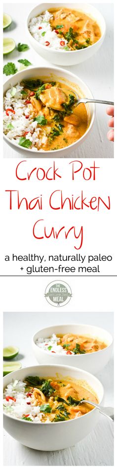 Crock Pot Thai Chicken Curry